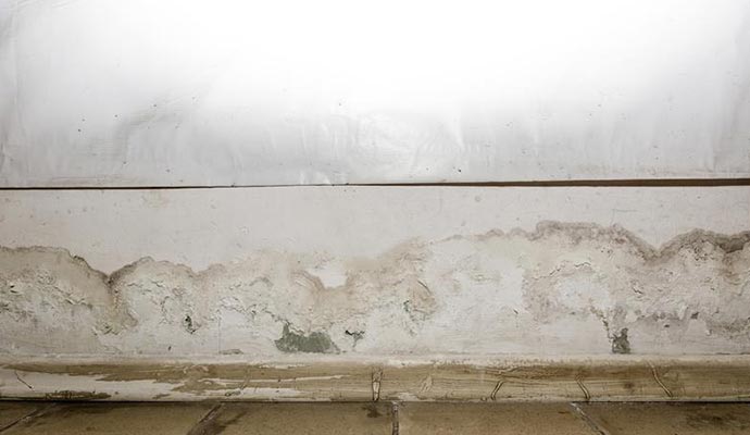 Mold grows as an outcome of basement leakage.