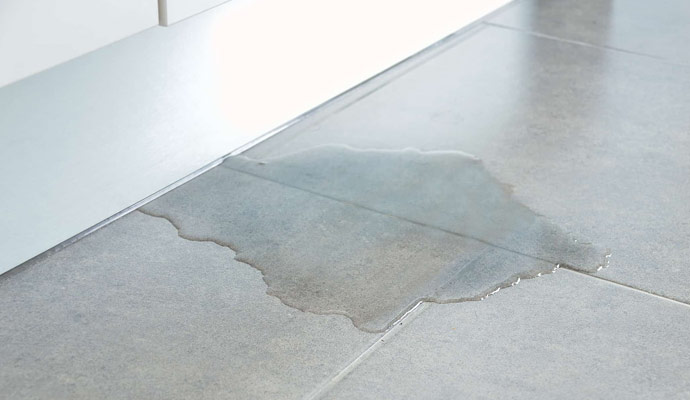 Signs of Needing Leak Detection Services