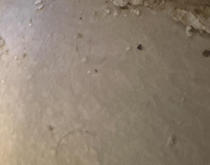 Louis B- Slab Leak Detection and Water Damage Assessment in Baton Rouge, LA