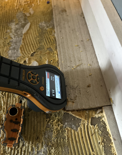 Peterson, Leak detection, slab leak, Baton Rouge