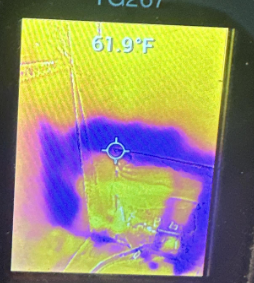 Sammy- Slab Leak Detection and Water Damage Assessment in Baton Rouge, LA