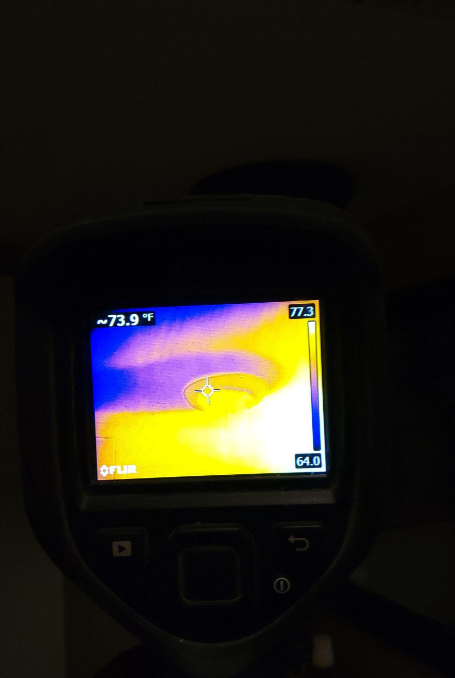 Nadine- Expert Water Damage Detection and Restoration in Denham Springs, LA