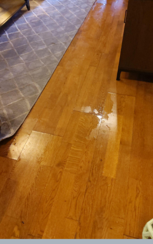 Babtis- Slab Leak Detection and Water Damage Mitigation in Denham Springs, LA