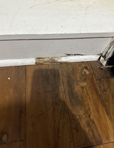 Corbin - leak detection, slab leak detection - Baton Rouge