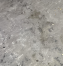 Richey R- Slab Leak Detection in Baton Rouge, LA – Failed Sewer Line Identified