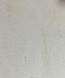 Hill - water damage, leak detection, slab leak detection - Baton Rouge LA