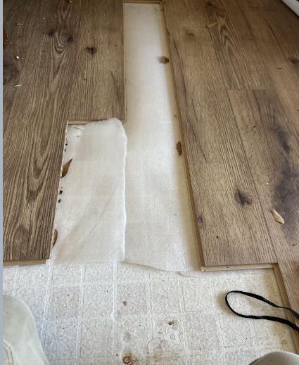 Comeaux-Water Damage and Leak Detection in Denham Springs, LA