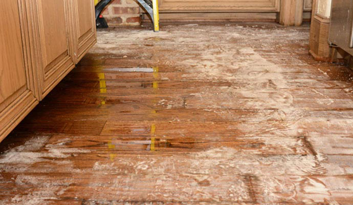 R Kelly - Leak detection near me, Infrared leak detection, Sonar leak detection = Prairieville LA