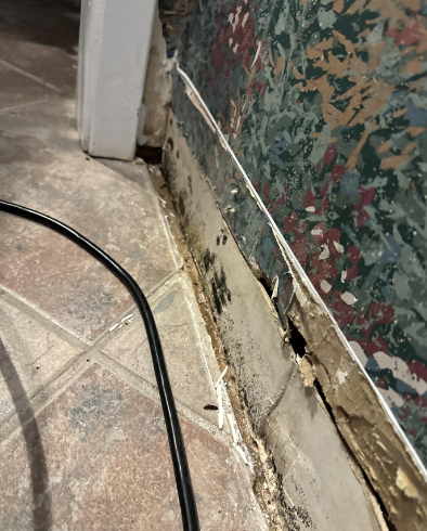 Slab Leak- Leak Detection- Baton Rouge, LA